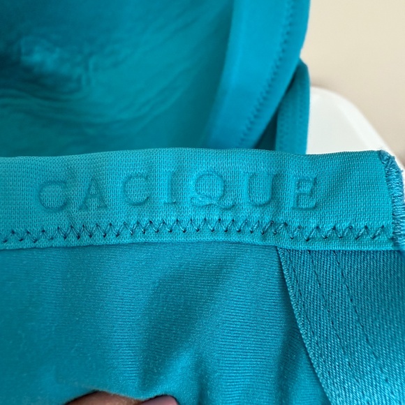 Cacique Lightly Lined Full Coverage Teal Blue  Bra Women's Size 44DDD - Picture 10 of 15